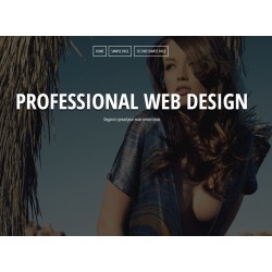  香港网页设计
